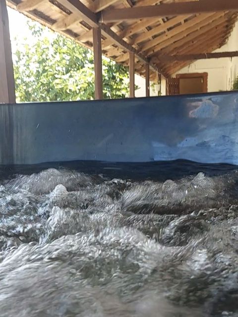 Galéria kép 20